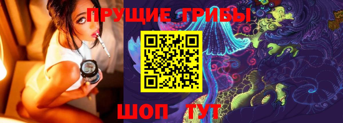 Псилоцибиновые грибы Cubensis  купить   Можайск  Вход с VPN  Галлюциногенные грибы GOLDEN TEACHER 