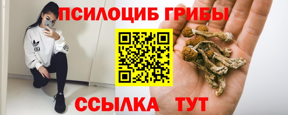 Псилоцибиновые грибы ЛСД Можайск